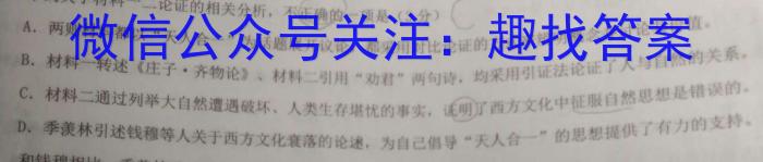 中考模拟压轴系列 2023年河北省中考适应性模拟检测(夺冠二)语文