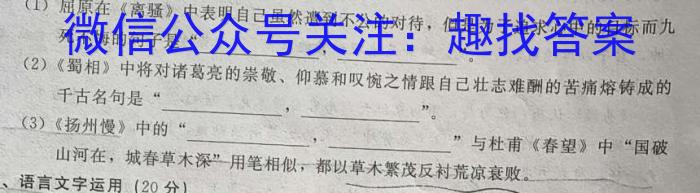 鄂东南省级示范高中教育教学改革联盟学校2023年五月高三模拟考语文