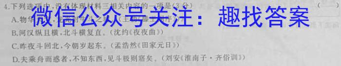 2023届全国百万联考老高考高三5月联考(5002C)语文