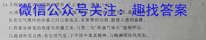 内蒙古2023年普通高等学校招生全国统一考试(第三次模拟考试)语文