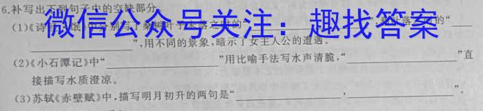 江西省2023届九年级第三次质量检测（4月）语文