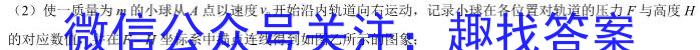 河北省六校联盟高二年级联考(2023.04)f物理