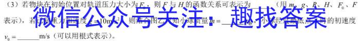 2023届银川一中、昆明一中高三联合考试二模物理.