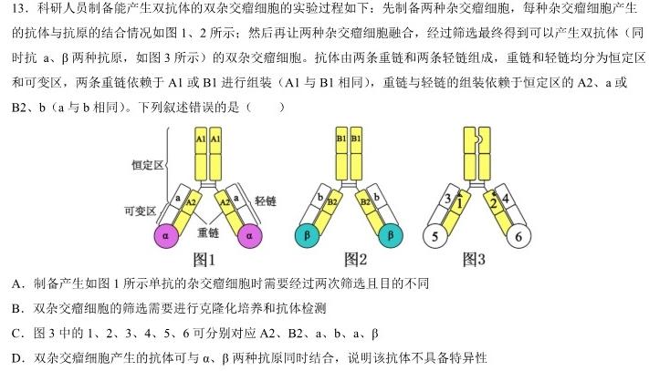 2024届广东大联考高二4月联考（23-388B）生物