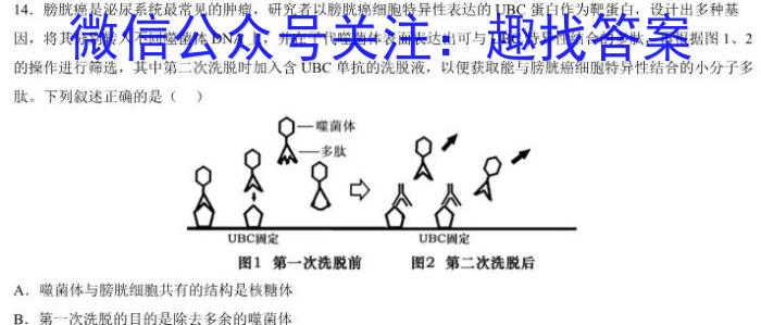 云南师大附中2023年高三4月考(贵州卷)(白白黑白白黑白黑)生物试卷答案