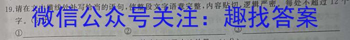 江西省九江市2023年初中学业水平考试复习试卷（二）语文