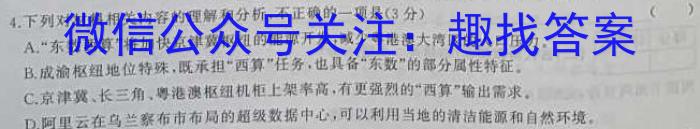 高考研究831重点课题项目陕西省联盟学校2023年第三次大联考语文