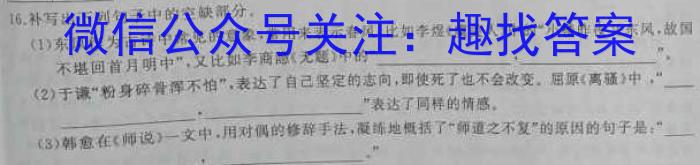 文博志鸿 2023年河北省初中毕业生升学文化课模拟考试(冲刺一)语文