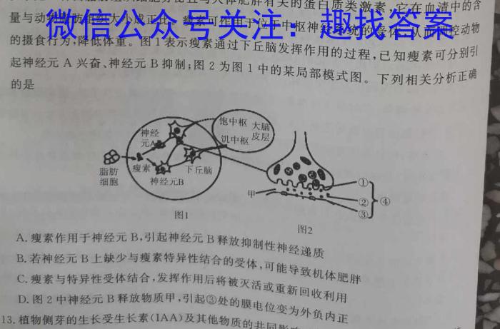 玖壹联考 安徽省2022~2023学年高一年级下学期阶段检测考试(5月)生物试卷答案