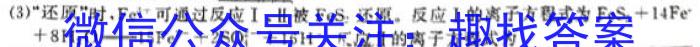 山西省2022-2023学年度八年级下学期期中综合评估（6LR）化学