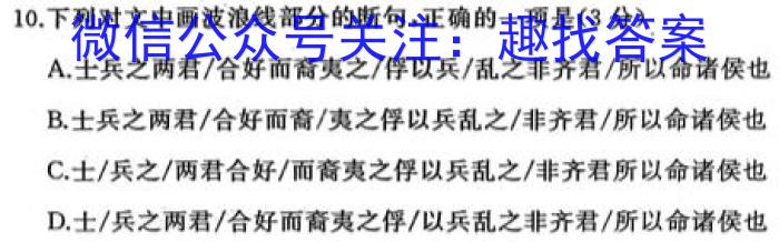 九师联盟 2022-2023学年高三5月考前押题(X)语文