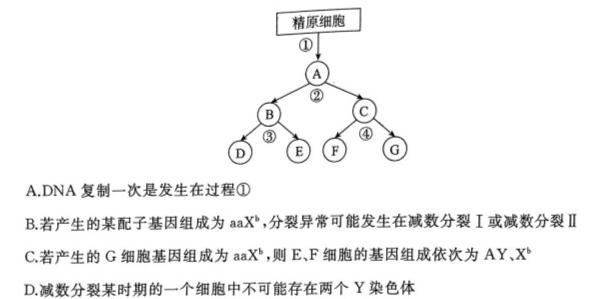 广西国品文化-桂柳金卷 2023年普通高等学校招生全国统一考试(仿真卷)生物
