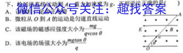 2023届普通高校招生全国统一考试·NT精准考点检测重组卷(全国卷)(二)q物理