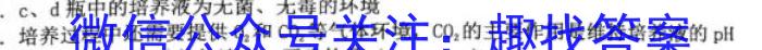 2023年4月玉林市高三年级教学质量检测生物