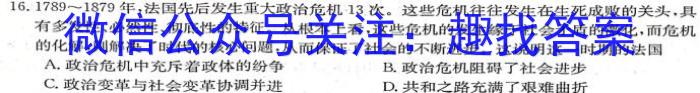 安徽省2022~2023学年度皖北县中联盟5月联考(3451C)历史