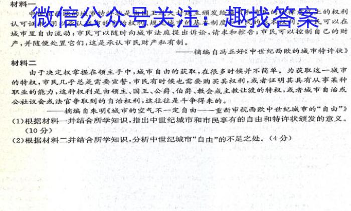 2023年高二年级九师联盟湖北省期中考试历史