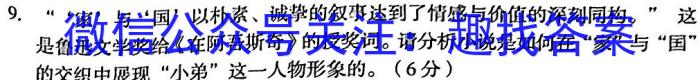 2023年普通高等学校招生全国统一考试适应性考试(5月)语文