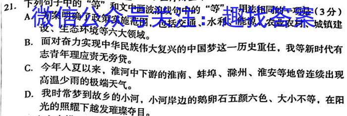 2023年湖南省普通高中学业水平合格性考试高一仿真试卷(专家版六)语文