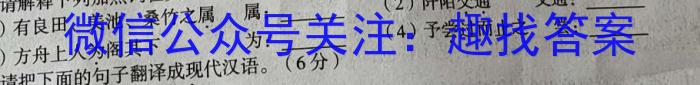 2023年陕西省九年级临考冲刺卷（A）语文