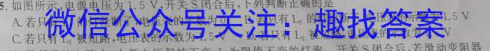 2023年普通高等学校招生全国统一考试信息模拟测试卷(新高考)(六)物理.