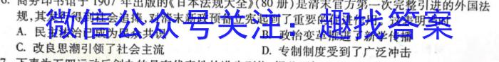 山西省2022-2023学年高一下学期期中联合考试（23-411A）历史试卷