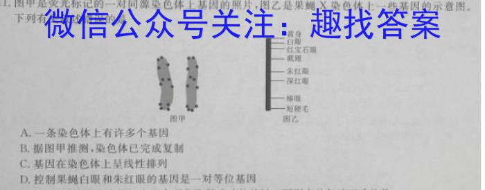 ［邯郸二模］邯郸市2023届高三年级第二次模拟考试生物试卷答案