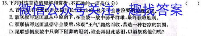 ［濮阳二模］濮阳市2023年高三年级第二次模拟考试语文