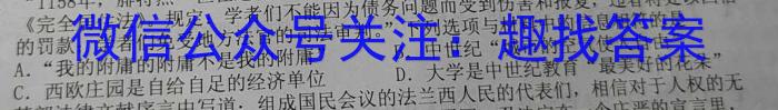 陕西师大附中2024-2023学年度初三年级第五次适应性训练历史