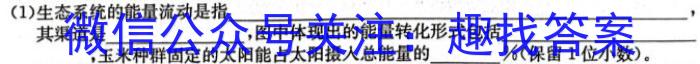 云南师大附中2023年高三4月考(贵州卷)(白白黑白白黑白黑)生物