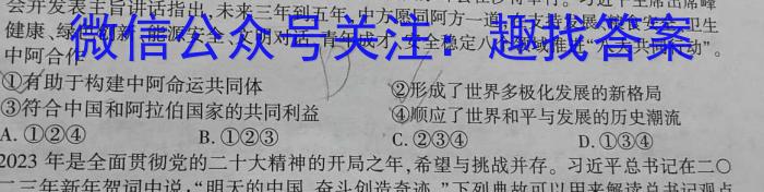 天一大联考·安徽卓越县中联盟 2024-2023学年(下)高二阶段性测试(期中)q地理