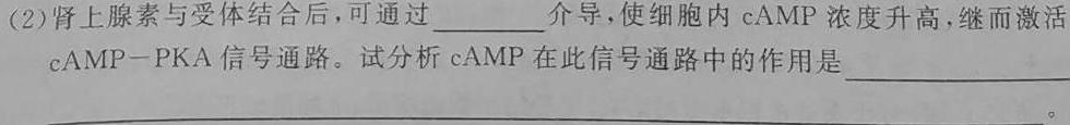 一步之遥 2023年河北省初中毕业生升学文化课考试模拟考试(六)生物