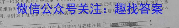 2023山东济宁市二模高三4月联考生物