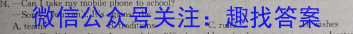 2022-2023学年陕西省八年级期中教学质量检测(23-CZ162b)英语试题