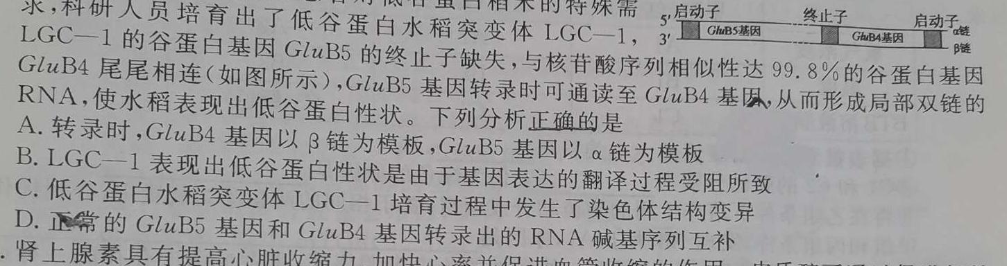 2023届衡水金卷先享题压轴卷(二)福建专版生物
