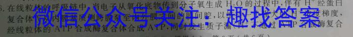 2023年普通高等学校招生全国统一考试猜题信息卷(新高考)(二)生物