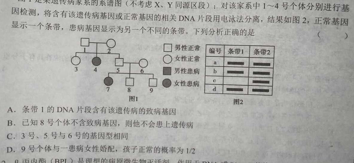 2023年陕西省初中学业水平考试冲刺（三）生物