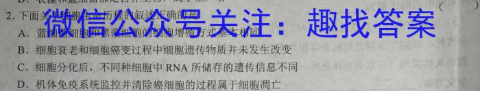 2023年普通高等学校招生全国统一考试信息模拟测试卷(新高考)(五)生物试卷答案