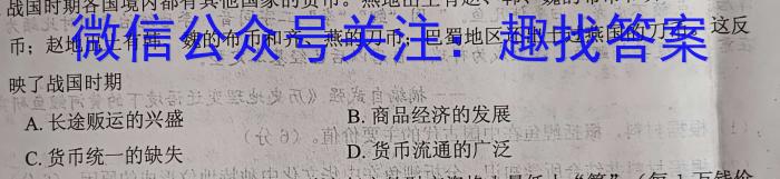 [定西二模]2023年定西市普通高考模拟考试历史