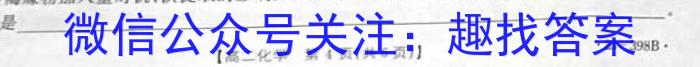 023年陕西大联考高三年级5月联考（578C-乙卷）化学"