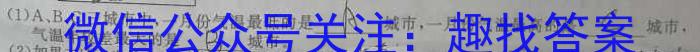 2025届广东大联考高一4月联考（23-388A）q地理