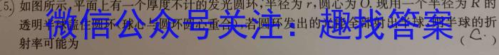 2023年安徽省名校联盟高三4月联考物理`