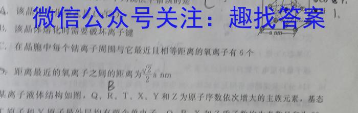 2023届全国普通高等学校招生统一考试 JY高三冲刺卷(四)化学