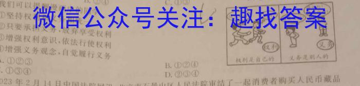 2023年湖南省普通高中学业水平合格性考试高一仿真试卷(专家版三)政治1