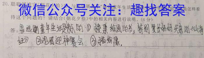 2023年湖北大联考高三年级5月联考（517C·HUB）语文