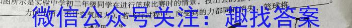 2023年云南大联考4月高一期中考试（23-412A）物理.