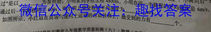 2023年安徽省中考冲刺卷（一）.物理