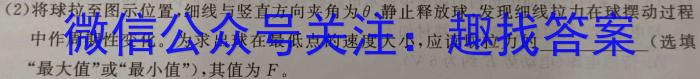 炎德英才大联考 2023年高考考前仿真模拟一.物理