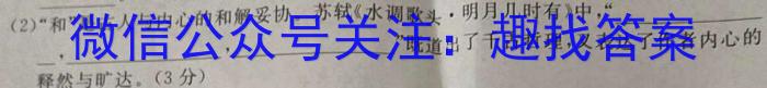 安徽省2023届九年级下学期教学评价三语文