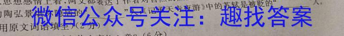 九师联盟2022-2023学年高三5月高考仿真模拟LG语文