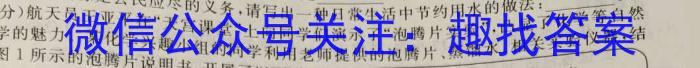 陕西省2023年高考全真模拟考试化学
